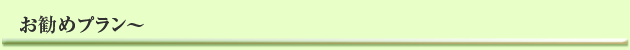 お勧めプラン
