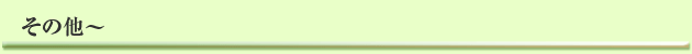その他